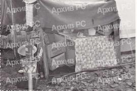 Земљотрес у Бањалуци