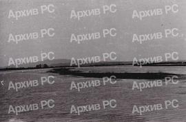 Рибњак у Бардачи
