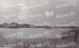 Рибњак у Бардачи
