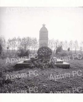 Споменик палим борцима у Новој Тополи