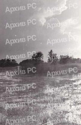 Рибњак у Саничанима