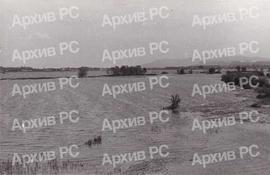 Рибњак у Бардачи