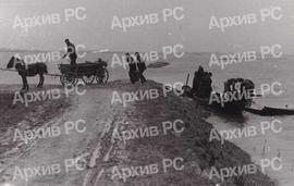 Улов и утовар рибе у Бардачи