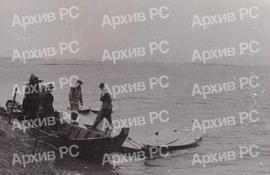 Утовар рибе на рибњаку Бардача