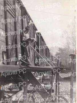 Земљотрес у Бањалуци
