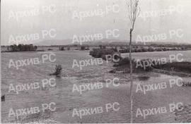 Рибњак у Бардачи