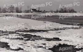 Рибњак у Бардачи
