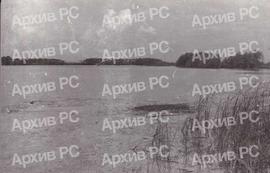 Рибњак у Бардачи