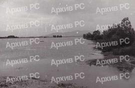 Рибњак на Бардачи
