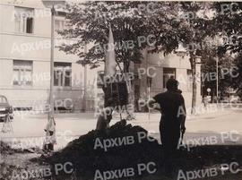 Земљотрес у Бањалуци