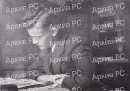 Никица Павлић