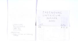Дигиталне копије